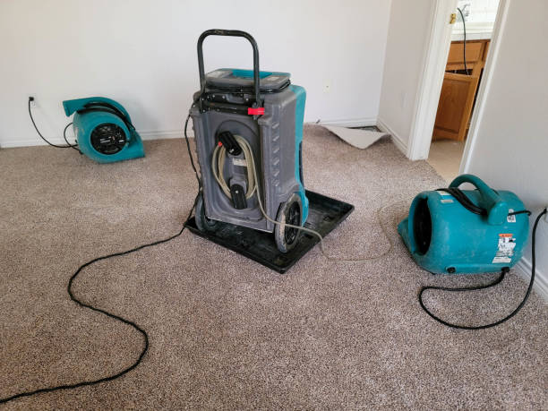 Best Water damage restoration near me  in South Patrick Shores, FL