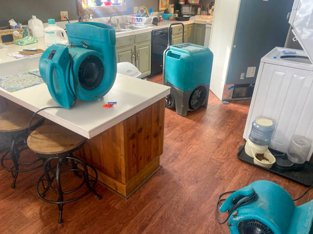 Best Carpet water damage restoration  in South Patrick Shores, FL