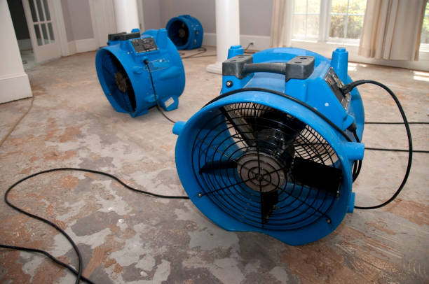 Best Sewage cleanup and water damage restoration  in South Patrick Shores, FL
