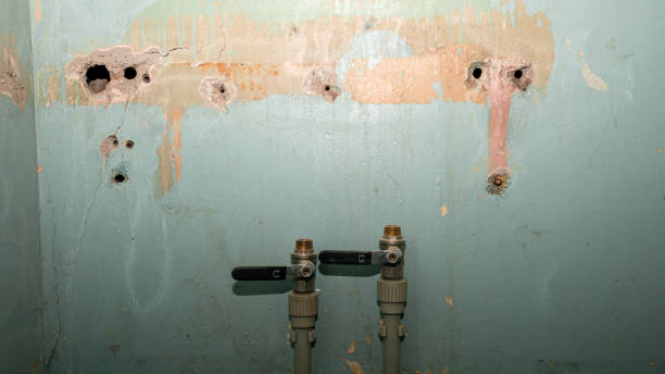 South Patrick Shores, FL Water damage restoration Company