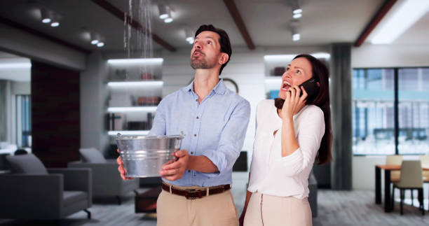 Best Residential water damage restoration  in South Patrick Shores, FL